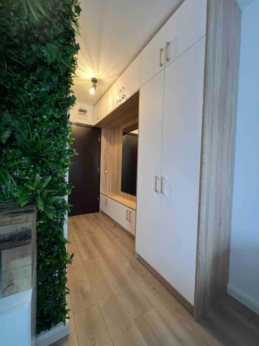 Cosy Appartement Green Life Bansko Exteriör bild