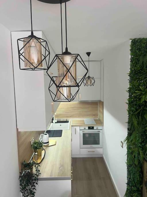 Cosy Appartement Green Life Bansko Exteriör bild